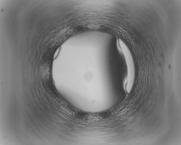 X0000057580697200510171708