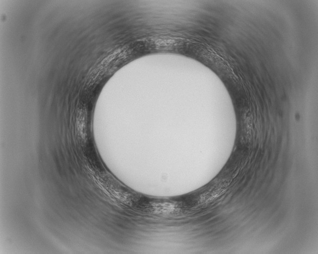 X0000057580698200510171708