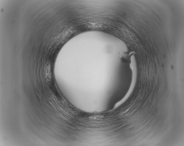 X0000057580700200510171708