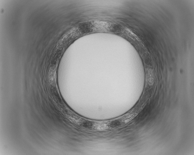 X0000057580701200510171708