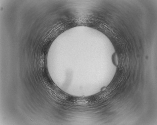 X0000057580702200510171708