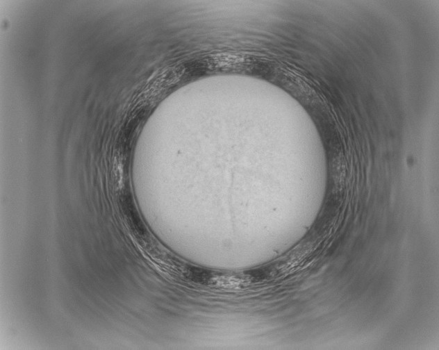 X0000057580703200510171708