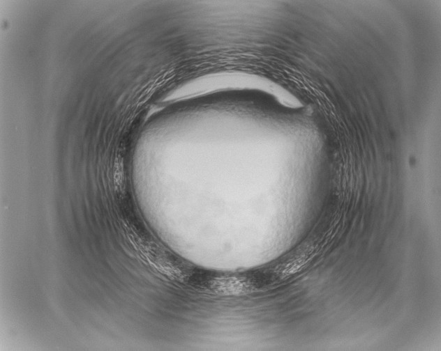 X0000057580704200510171708