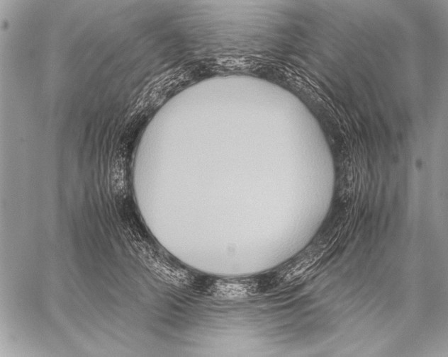 X0000057580706200510171708