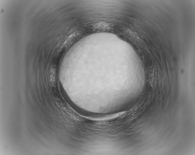 X0000057580708200510171708