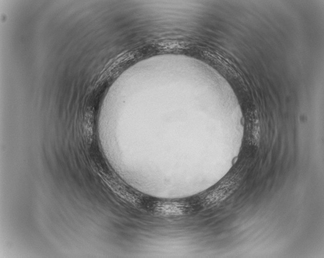 X0000057580710200510171708