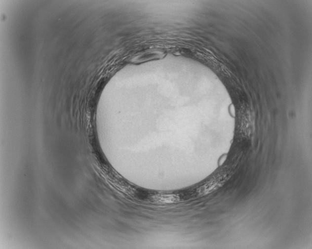 X0000057580711200510171708