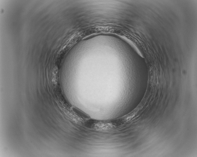 X0000057580712200510171708