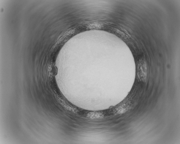 X0000057580714200510171708