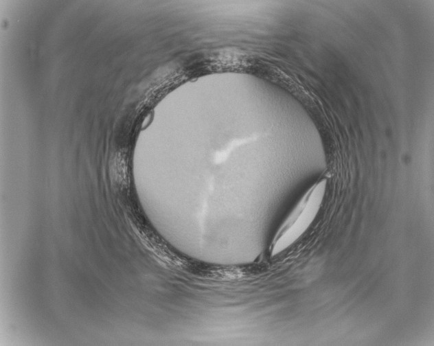 X0000057580715200510171708