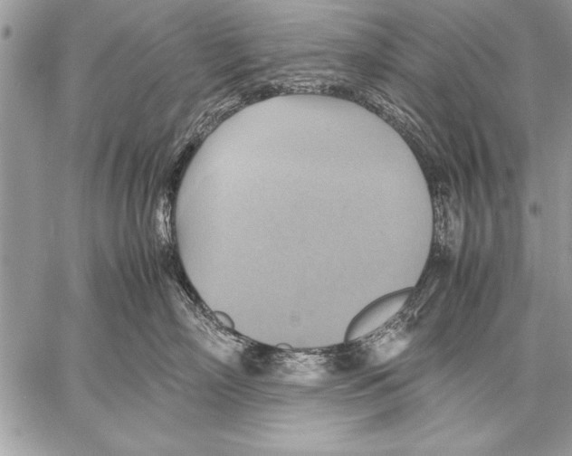 X0000057580718200510171708