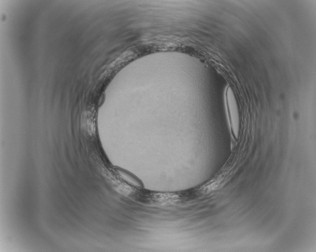 X0000057580719200510171707