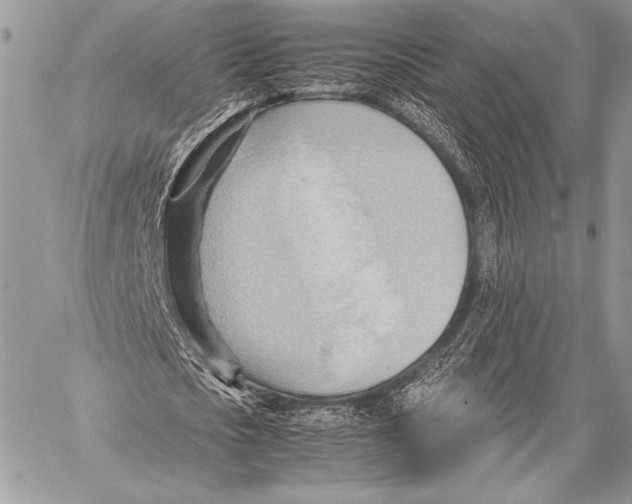 X0000057580721200510171707