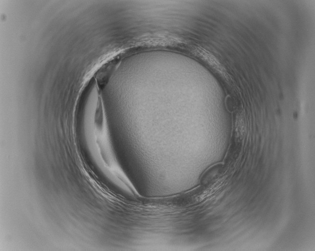 X0000057580722200510171707