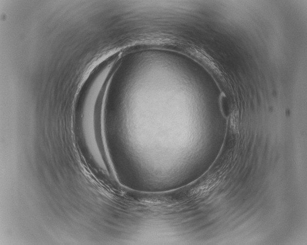 X0000057580724200510171707