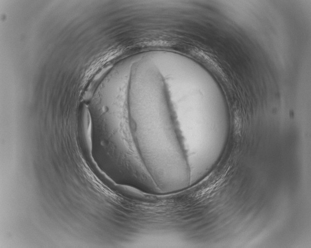 X0000057580725200510171707