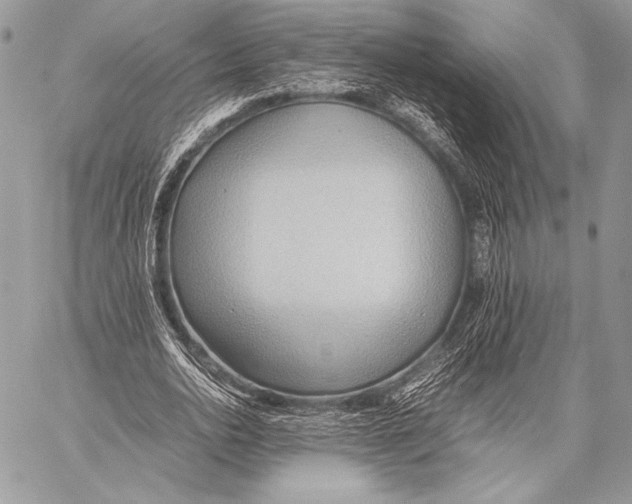 X0000057580726200510171707