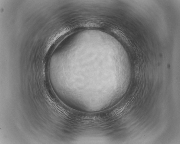 X0000057580727200510171707