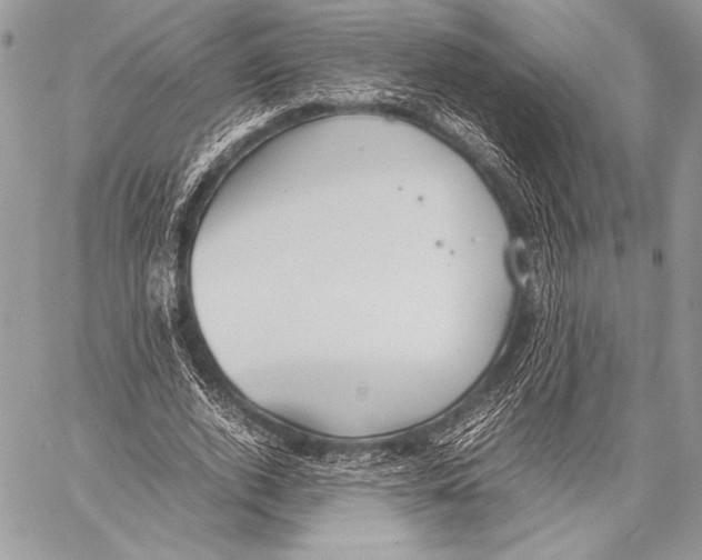 X0000057580728200510171707