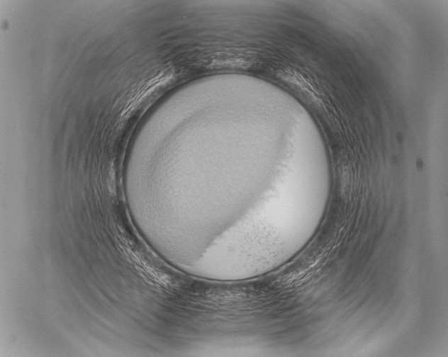 X0000057580729200510171707