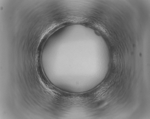 X0000057580730200510171707