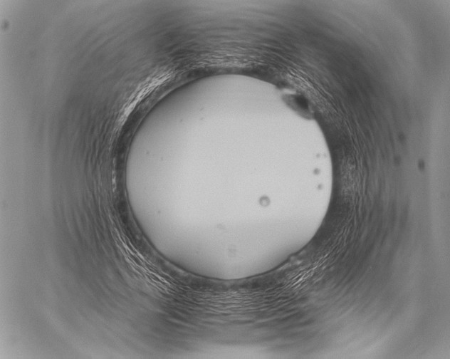 X0000057580731200510171707