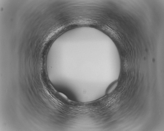 X0000057580732200510171707