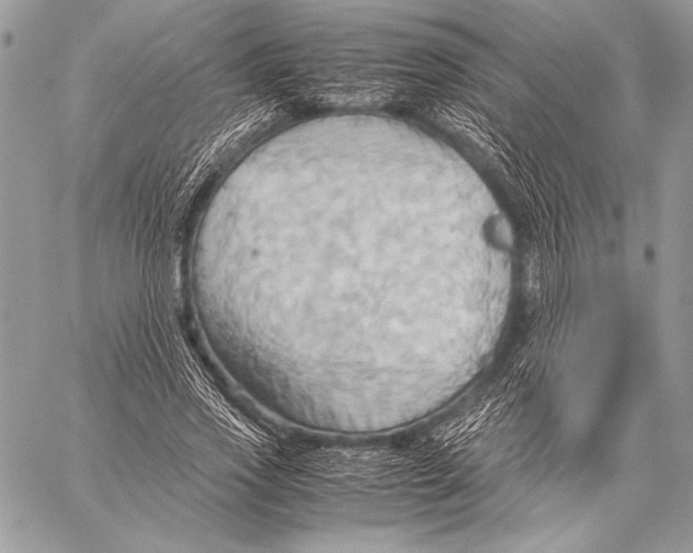 X0000057580733200510171707