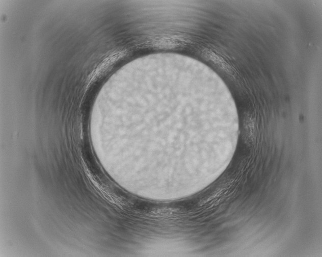 X0000057580734200510171707