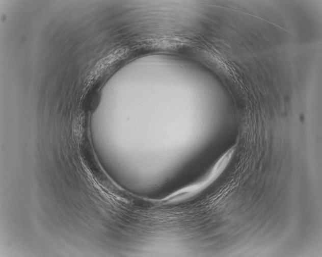 X0000057580736200510171707