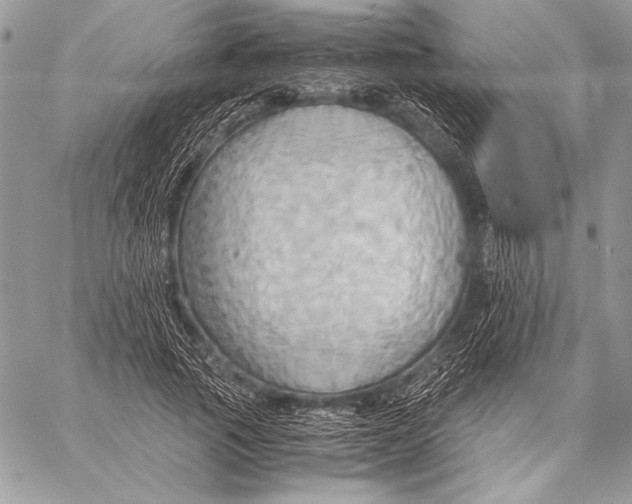 X0000057580737200510171707