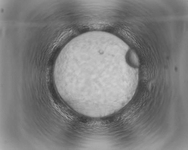 X0000057580738200510171707