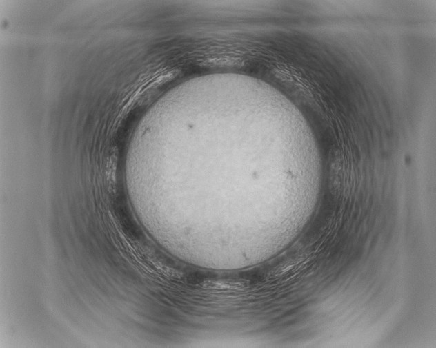 X0000057580739200510171707