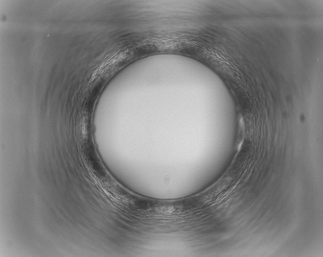 X0000057580740200510171707