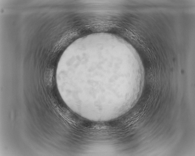 X0000057580742200510171707