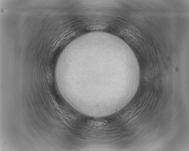 X0000057580743200510171707