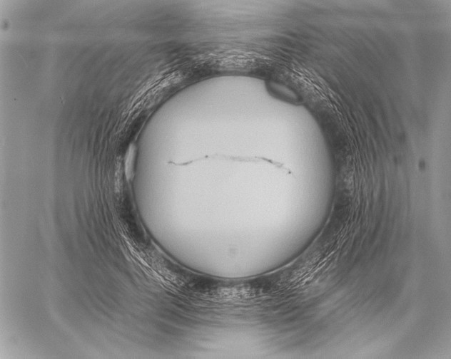 X0000057580744200510171707