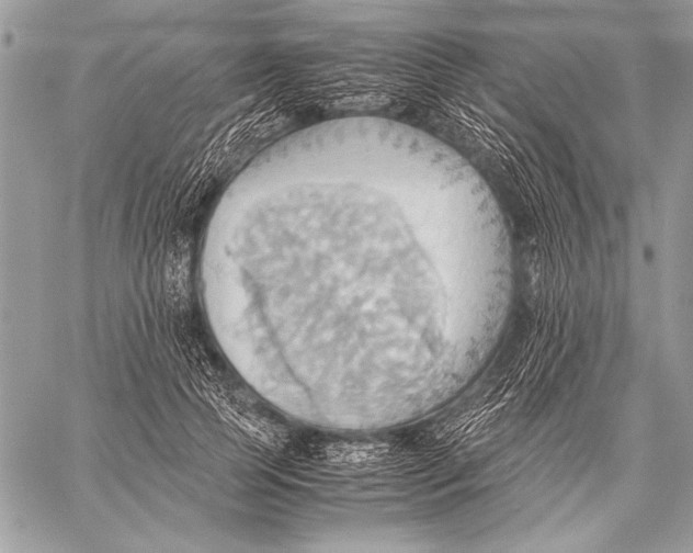 X0000057580745200510171707