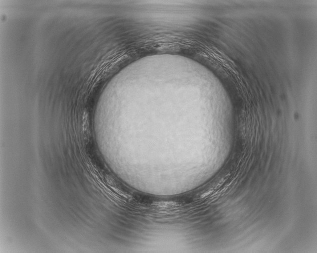 X0000057580748200510171707