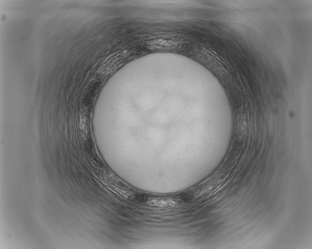 X0000057580749200510171707