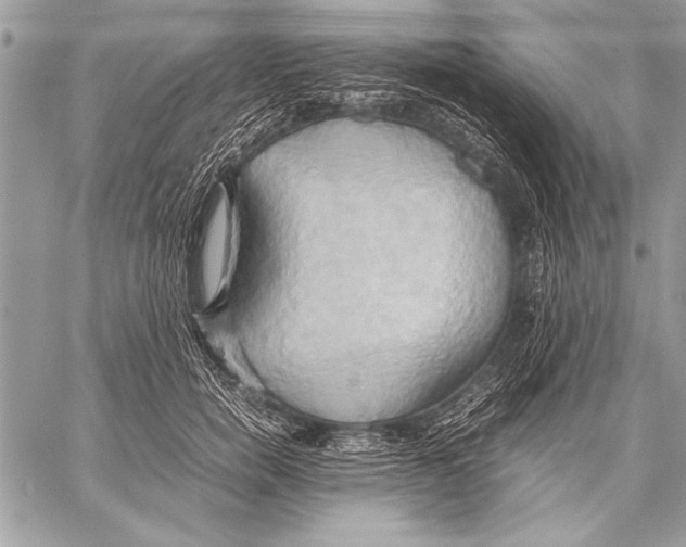 X0000057580750200510171707