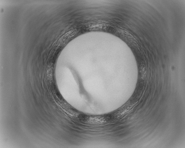 X0000057580753200510171707