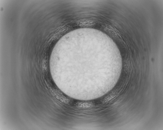 X0000057580755200510171707