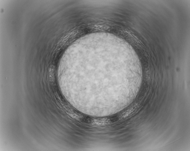 X0000057580757200510171707