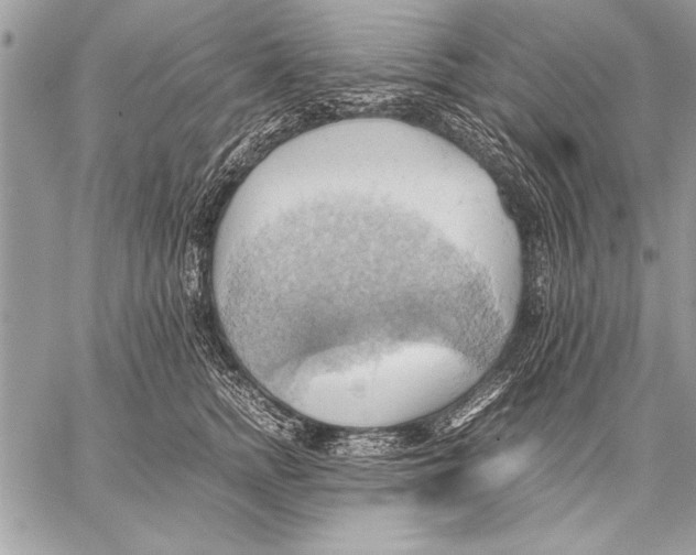 X0000057580758200510171707