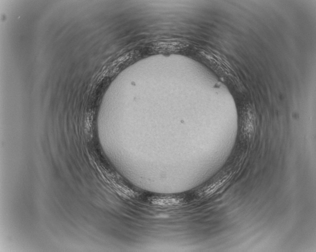 X0000057580759200510171707