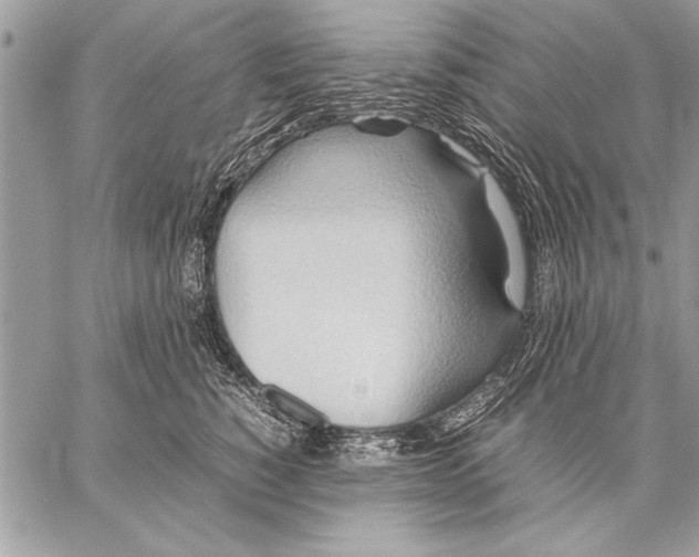 X0000057580760200510171707