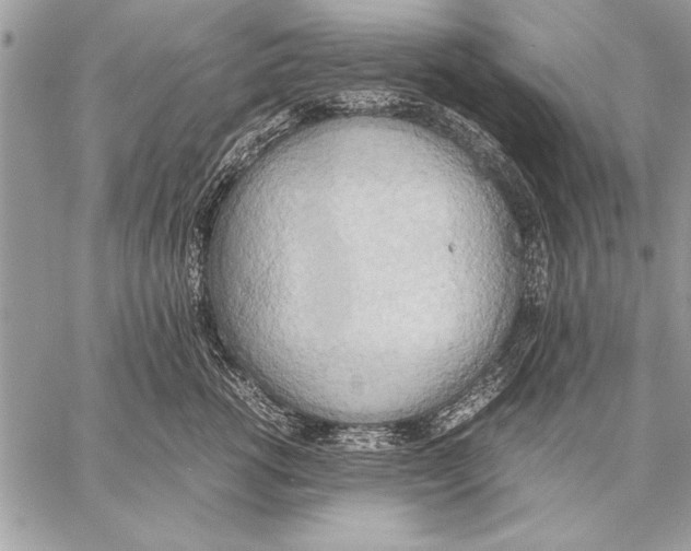 X0000057580762200510171707