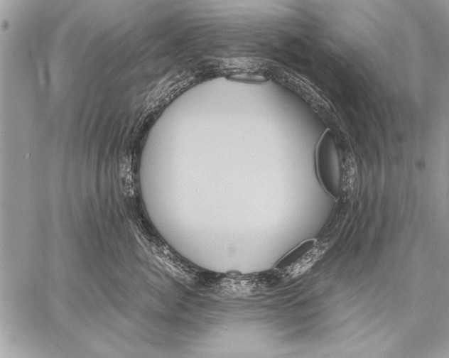 X0000057580764200510171707