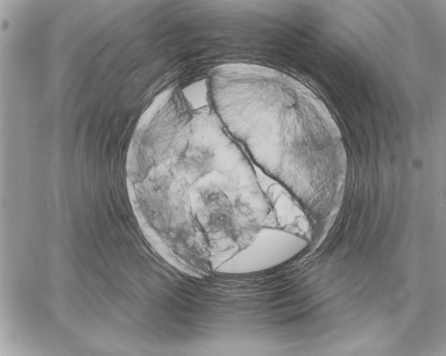 X0000057580765200510171707